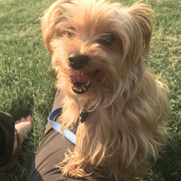 Meet your Posher, Anastasia - Picture 1 of 1